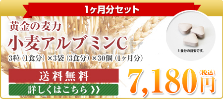 1ヶ月分お試しセット 黄金の麦力 小麦アルブミンＣ　3粒（1食分）×3袋（3食分）×30個（1ヶ月分）送料無料 7,180円（税込）